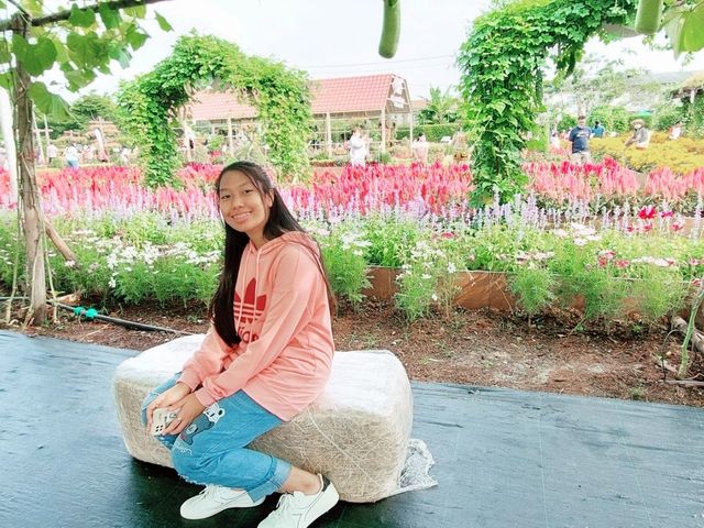งานเมล็ดพันธุ์ บริษัทศรแดง