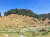 Aru Valley