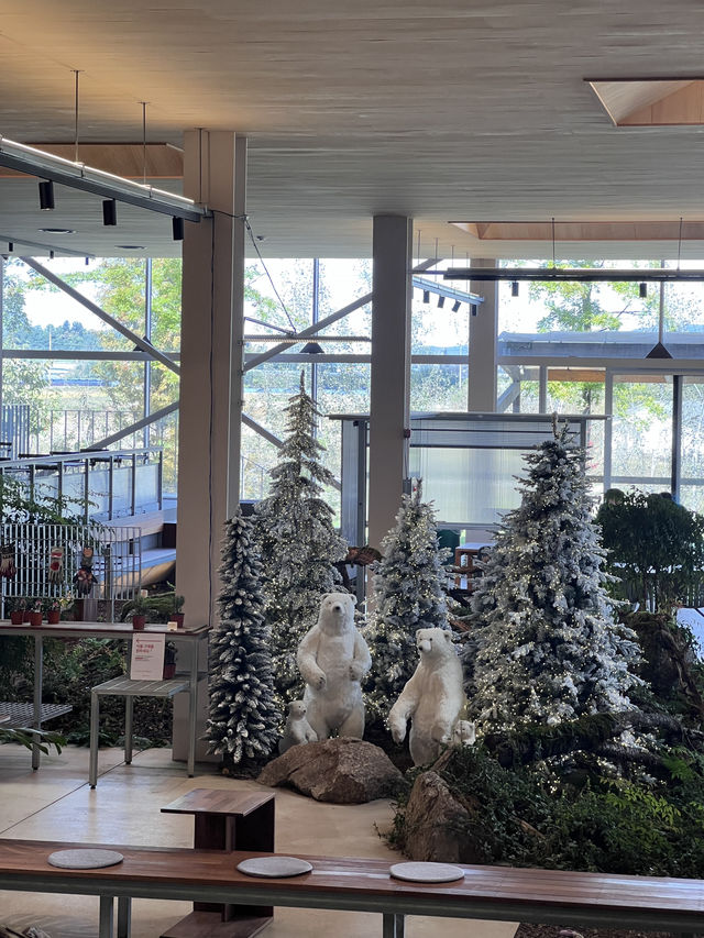 🍜✨ 진천 뤁스퀘어 속 숨은 맛집, 소바공방 방문기 ✨🍱