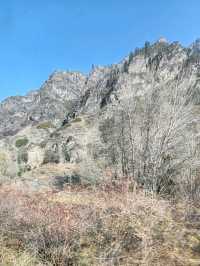 Mountains and Rivers on the Return Journey