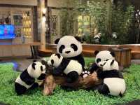    🐼 Panda Hotel — ที่พักสุดน่ารักกลางเมืองแพนด้