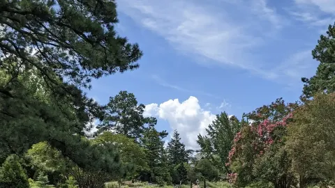 Norfolk Botanical Garden — traveler post in 노퍽