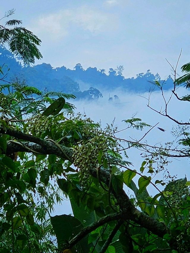 Unplug & Unwind: My Open-Air Stay in Hulu Langat Unplug & Unwind: My Open-Air Stay in Hulu Langat