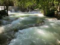 Lost in Kuang Si Paradise 💦🌿