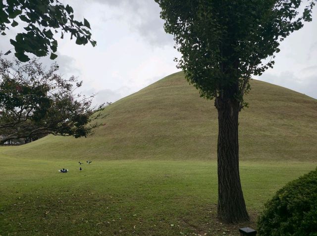 가을여행하기에 너무 좋은 경주 대릉원 가을여행하기에 너무 좋은 경주 대릉원