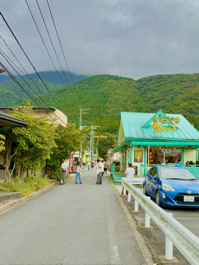 유후인노모리 타고 즐기는 유후인 여행 가이드 🚂🍂