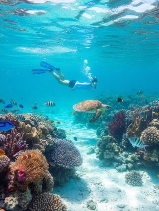 🌊 Maldives accommodations... $50 for two?

When you think of the Maldives, you probably think of luxury resorts and expensive vacations. However, you can enjoy the Maldives for a truly affordable price! Staying on the main island, where Maldivian locals live, is a great option.

I recommend the Lonuveli accommodation on Holumalé Island, where I stayed. It was around $50 for two. It was conveniently located right on the beach, and I was very satisfied with the cleanliness and friendliness.

🏨 Room Conditions
The room was incredibly clean. The staff walked around the room barefoot, without shoes. Even the bedding and floors were well-maintained.

🌅 Beachfront Terrace View
The accommodation is right in front of White Beach, with the expansive Maldivian ocean stretching out before you. Rooms with terraces offer a direct view of the beautiful beach from the window. ✨ It's a great place for a morning jog.

🐠 Snorkeling and water sports available right in front of the accommodation
There's a rental shop called White Beach Watersports right in front of the accommodation. You can enjoy water activities like snorkeling gear, paddleboards, and kayaks right there. You can also take a boat to the snorkeling spots. Having the activity shop right next to the accommodation is super convenient!

🍽️ Breakfast is included
I didn't expect breakfast to be included because the accommodation was so cheap, but it was. The breakfast was surprisingly filling. It had a variety of options, including pasta, bread, and fruit, so it was filling.

🚌 Free airport shuttle!
They offer free pick-up and drop-off service from the airport to the accommodation. Even when I stayed at Lonuveli for a night and then went to another resort, they contacted the other resort to check the ferry schedule and arranged for pick-up and drop-off at the port. The service was excellent!

☕ Lots of restaurants and cafes nearby
Because this is an island populated by locals, there are plenty of amenities nearby. There are supermarkets and shops, and there are also quite a few cozy restaurants and cafes around the accommodation. It's within walking distance, making it convenient for exploring.

📌 Recommended Restaurants and Cafes
- Cafe 73: A local cafe with a great atmosphere.
- Coba Cabana: A beachfront restaurant with a great atmosphere, serving fusion dishes like kimchi fried rice.

- Café Ier Hulhumalé: A place with a Maldivian vibe. Dine in!

📌 Nearby Large Supermarket
- ​​Redwave City Square: Everything from groceries to clothing, sunglasses, and swimwear!

📌 Nearby Attractions
- Central Park: A park frequented by locals, perfect for a stroll.

If you want to experience the Maldives like a local,
we recommend staying at Lonuveli.❗️

#OverseasHotel #MaldivesAccommodation #Maldives #MaldivesRestaurants