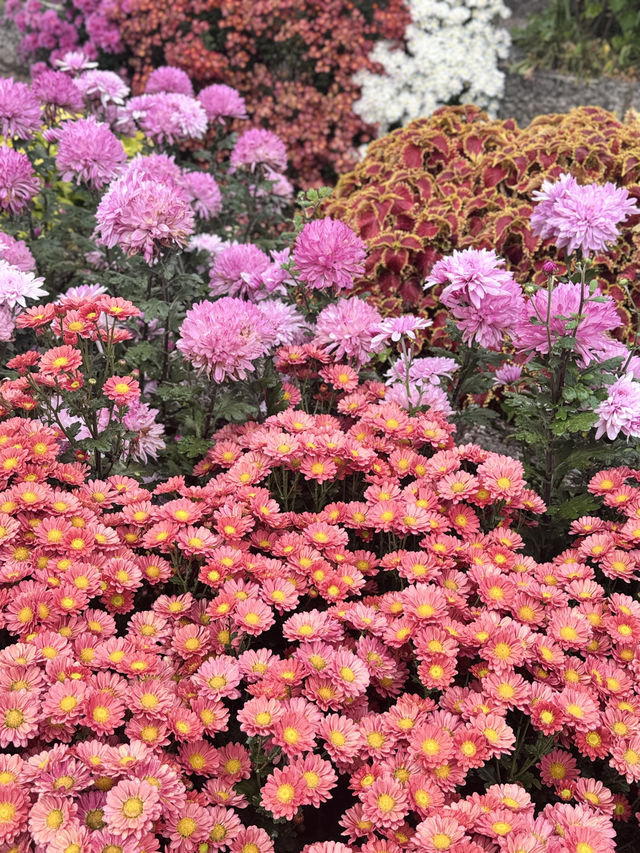 Lijiang Old Town Lijiang Old Town