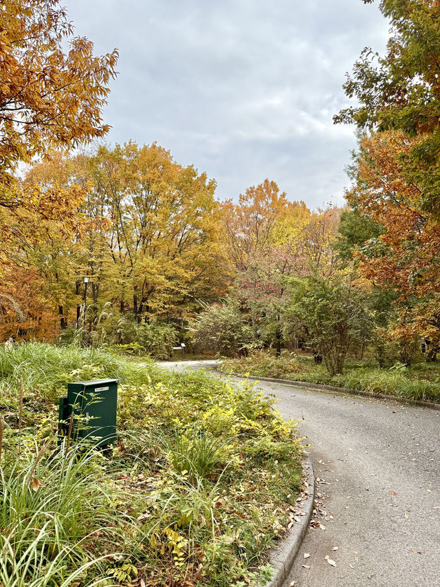 A Quiet Autumn Escape Inside the Imperial Palace