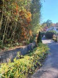 가을이면 특히 더 부드러운 분위기