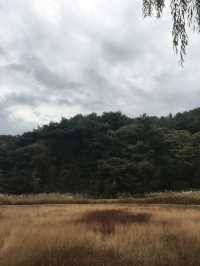 清州(チョンジュ)〜利川(イチョン)観光🇰🇷