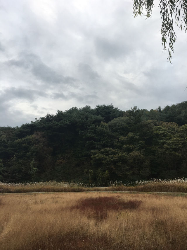 清州(チョンジュ)〜利川(イチョン)観光🇰🇷 清州(チョンジュ)〜利川(イチョン)観光🇰🇷