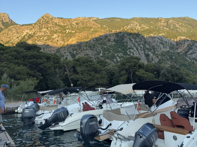⛵✨ KOTOR HARBOR — THE GATEWAY TO ADRIATIC BEAUTY 🇲🇪🌊 ⛵✨ KOTOR HARBOR — THE GATEWAY TO ADRIATIC BEAUTY 🇲🇪🌊