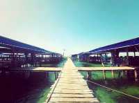 越南🇻🇳海星沙灘