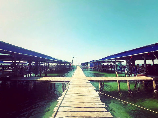 越南🇻🇳海星沙灘 越南🇻🇳海星沙灘