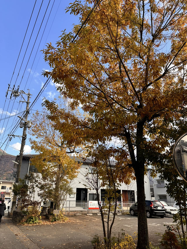 🌾【走在由布見通,就是走進溫泉小鎮的靈魂──每一步都被療癒、被取悅、被餵飽】 🌾【走在由布見通,就是走進溫泉小鎮的靈魂──每一步都被療癒、被取悅、被餵飽】