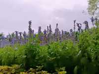 A Cocoa Village Garden Escape