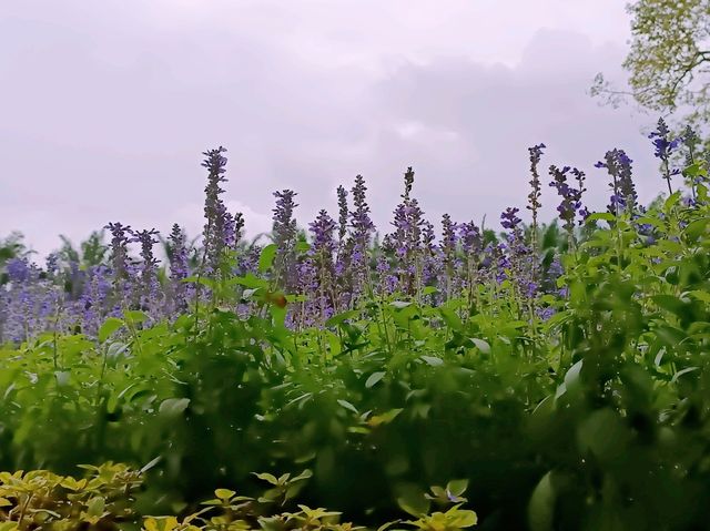 A Cocoa Village Garden Escape