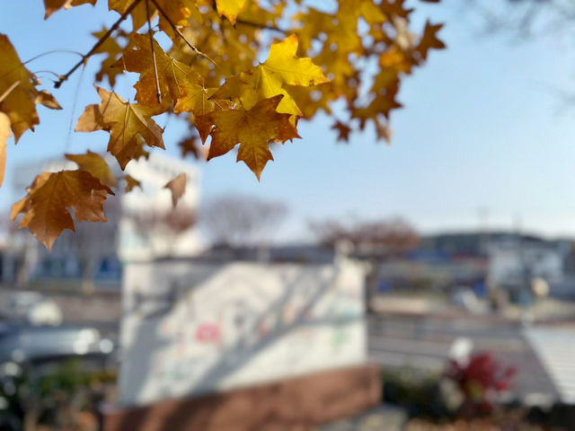 아직은 가을여행 중 😁🍁