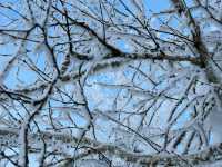 Snow Bliss in a Snow Valley ☃️❄️🥰