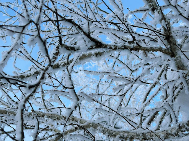 Snow Bliss in a Snow Valley ☃️❄️🥰 Snow Bliss in a Snow Valley ☃️❄️🥰