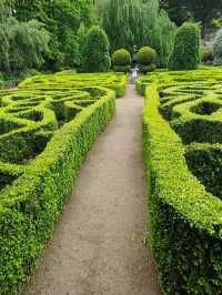 11月紐西蘭超Chill景點🌸 但尼丁植物園深度遊