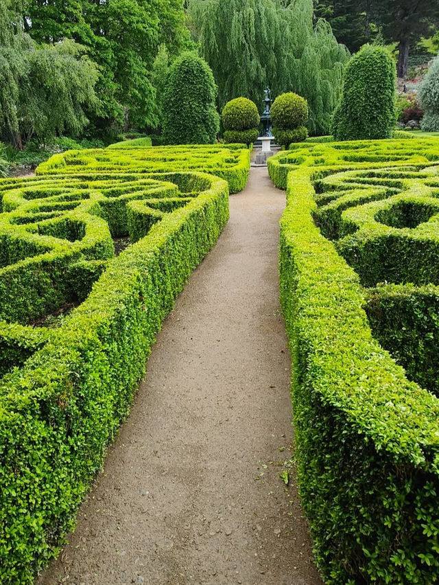 11月紐西蘭超Chill景點🌸 但尼丁植物園深度遊