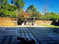 Scenic Festive Outing at Paradise Of Deer