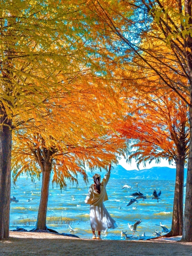 A hidden gem that's free yet feels like a foreign destination. Who would have thought that Kunming has a sea of birds and an orange sunset like this? Welcome to:
Lao Yu He Wetland Park (捞鱼河湿地公园)
📍 Essential Information
🕗 Opening Hours: 08:00 – 19:00
🎟 Admission: Free
🚇 How to Get There (Super Easy)
Take Metro Line 4 to Xiangfeng Street Station.
From there, call a Didi or rent an electric bike to reach the park.
🚗 Driving
Set your navigation to '捞鱼河湿地公园'.
Exit the Luolong Expressway and drive for about 10 minutes.
✨ Must-Do Highlights
🚤 1. Crystal Clear Boat
If you visit in the morning,
try the crystal-clear boat on the pristine waters.
Photos taken here will give you Maldives vibes, Chinese style.
💰 Price: Around 80 RMB/hour for 2 people.
🌅 2. Wait for the 'Orange Sea' Sunset
For viral-worthy photos:
🕔 Arrive around 17:00.
Stroll along the beach.
Feed the seabirds.
🕠 Start taking photos at 17:30.
🕕 At 18:00, enjoy the Blue Hour.
The water reflections combined with flocks of birds flying by are truly indescribable.
🧣 Things to Know Before You Go
• There are very few restaurants in the park → Bring water/snacks.
• Weekends are crowded with traffic and visitors.
• After sunset, call for a ride quickly as it gets very busy.
• The wind is strong and colder than in the city → Bring a windbreaker.
This is not just a park.
It's a place that instantly makes Kunming feel more romantic.
If you're looking for a spot to watch the sunset without spending money but want the vibe of a foreign sea, pin this place 📌.