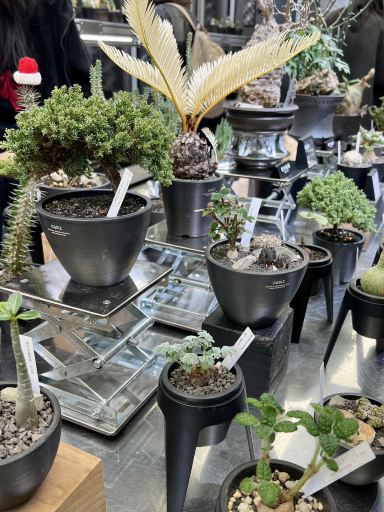 The MixC @ Journey to Unusual Plants | Trip.com Xi'an