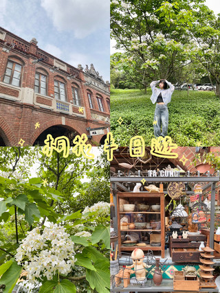 新竹｜湖口 仁和步道 漫步桐花小徑 湖口老街