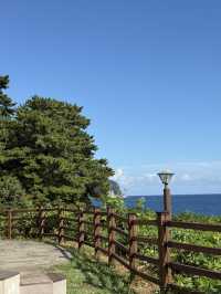 Hidden Gem: The Ultimate Peaceful Walking Spot You Can't Miss 🌿✨