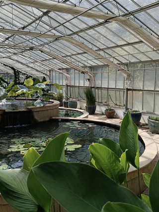 Taman Botani Queen Sirikit di Chiang Mai 