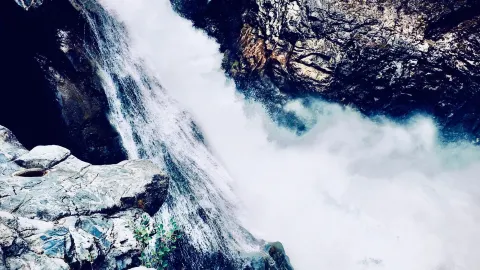 Japan Chugoku Akiyoshidai Plateau Mossy Karst Forest Trail — traveler post in Mine