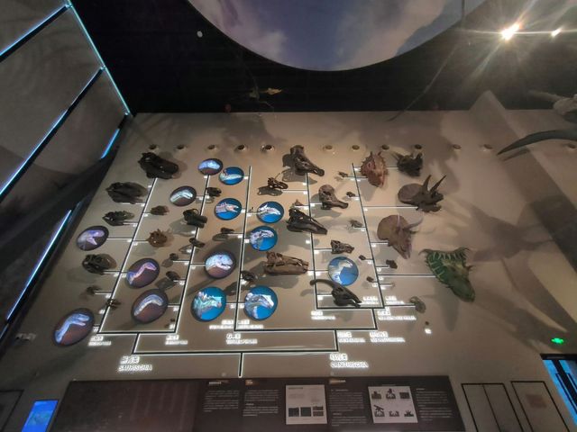 🦕 Baoding Natural History Museum | Bigger, Better, and Worth the Journey