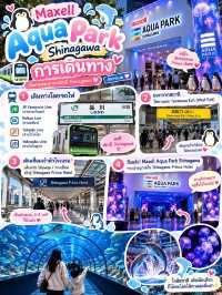 พิกัดเที่ยวโตเกียว สำหรับเด็ก🐬 Maxell Aqua Park Shinagawa