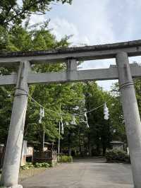 【秋田】駅チカで満喫!ご当地グルメ&歴史さんぽ旅🍶🌿