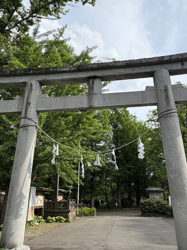 【秋田】駅チカで満喫!ご当地グルメ&歴史さんぽ旅🍶🌿