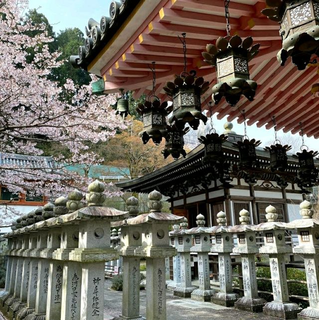 治愈神殿