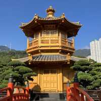 被譽為港版金國寺的志蓮淨苑