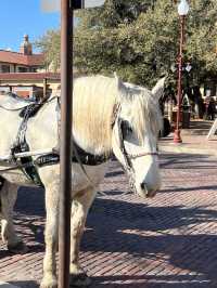 [미국 달라스 대표 관광명소] Fort Worth Stockyards