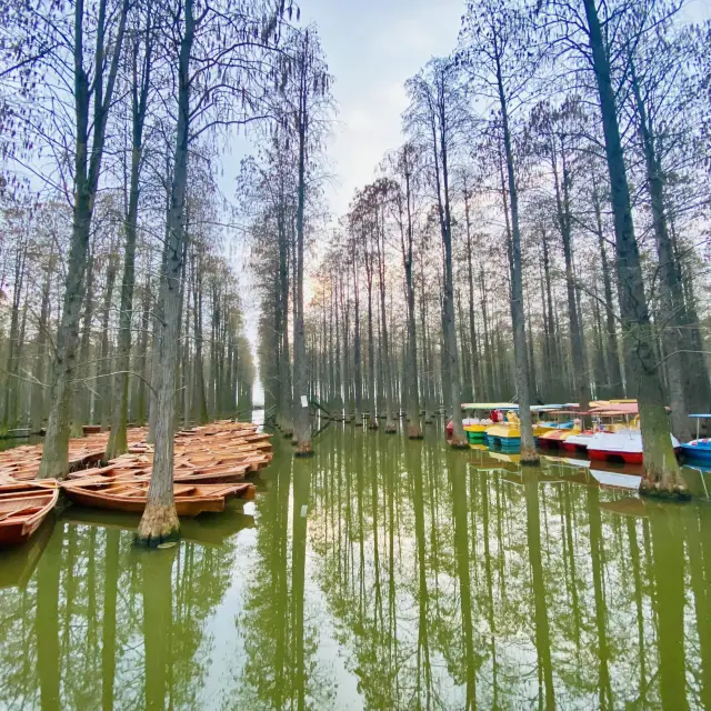 The Luyang Lake Wetlands Park