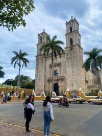 【メキシコ】カンクン発着バスツアー🇲🇽🚌