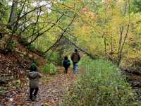 So much beauty to see at Cut River Bridge
