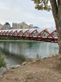 Peace Bridge