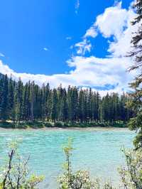 バンフ🇨🇦 in Summer