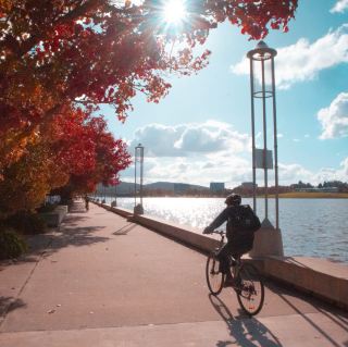 So This Is the Color of Autumn in Canberra.