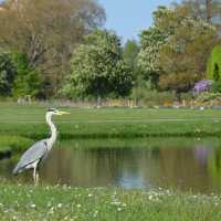 Schloss Garden… gorgeous Schwerin!