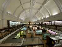 Cultural Oasis: Horniman Museum's Embrace 🏛️