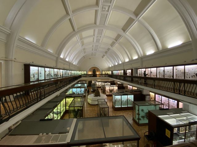 Cultural Oasis: Horniman Museum's Embrace 🏛️